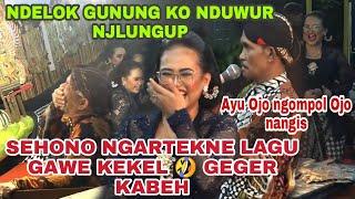 Ayu vs sehono  nerjemahne lagu bajing loncat Ayu nganti nangis  Dalange kekelgegerrrrr sak lapanagn