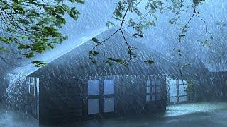Beat Insomnia with Real Hurricane Heavy Rain Wind & Dense Thunder on a Metal Roof at Stormy Night