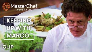 Can They Keep Up with Marcos Pace?  MasterChef Australia  MasterChef World