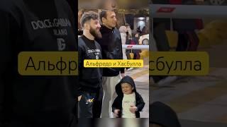 ️Альфредо популярнее Хасбуллы ?