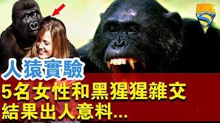 人猿實驗5名女性為科學，和黑猩猩雜交！結果出人意料...