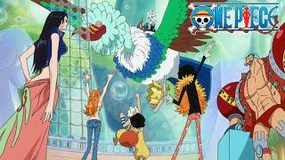 Straw Hats Reunite  One Piece