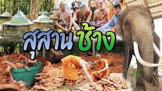 สุสานช้าง  ไทยทึ่ง WOW THAILAND