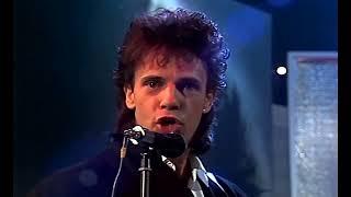 Love Somebody - Rick Springfield 1984 HD Performance MusikLaden