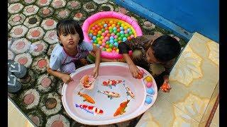 Tangkap ikan dan bola warna warni mandi bola - Mainan anak - Catch the fish and bathe the ball