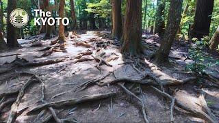 【4K】Enjoy hiking From Kifune Shrine in Kyoto to Kurama Temple.