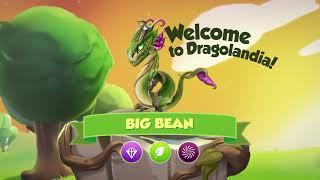 How to Breed Big Bean Februarys Dragon of the Month