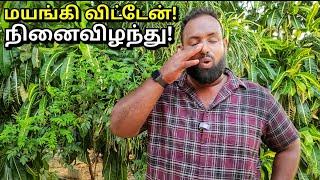 நான் செய்த தவறை செய்யாதீர்கள் Jaffna Vlogs  Alasteen Rock