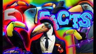 5 Amazing Facts About Toucans Thatll Amaze You #animals #learning