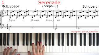 SERENADE SCHUBERT easy СЕРЕНАДА ШУБЕРТ ЛЕГКАЯ ВЕРСИЯ НА ПИАНИНО PIANO Очень красивая мелодия Simple