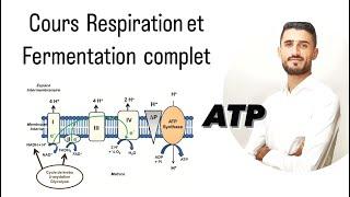 Cours Complet Consommation de la matière organique et flux d’énergie ATPRespirationfermentation