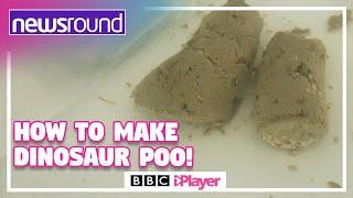 How to make dinosaur poo   Newsround