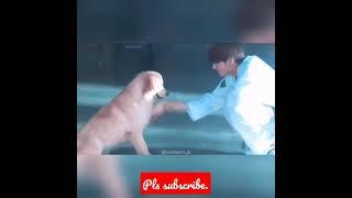 Jungkooks dog clip