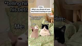 CAT MEMES When you dream of your boyfriend cheating on you #catmemes #relatable #relationship