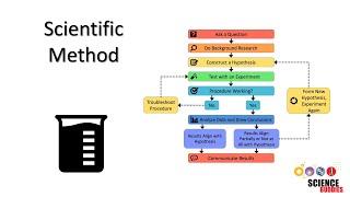 The Scientific Method Steps and Examples