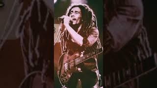 Bob Marley Song  King of Jamaican #bobmarleymusic #ritamarley