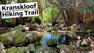 Kranskloof Hiking Trail  Super Fun Hike in Magaliesburg