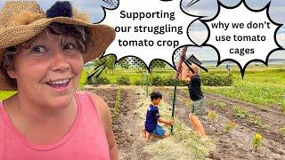 Why we Don’t Use Tomato Cages and What we Now Use.