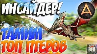 ARK Survival Evolved  ИНСАЙДЕР ТОМЛЕНИЕ ПТЕРОВ И ОЛЕНЯ  ABSOLUTE ARK RAGNAROK