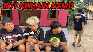 BOY KERJAIN NEMO…Malah begini endingnya…