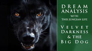 Drømmeanalyse Velvet Darkness & The Big Dog