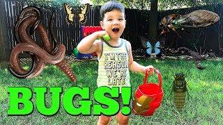 Caleb And Mommy Play Outside and Find REAL BUGS Pretend Play with Insects