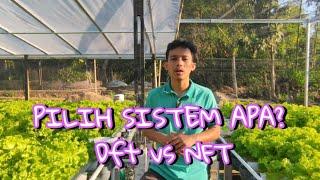 Perbedaan Sistem DFT dan Sistem NFT Dalam Hidroponik