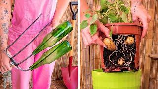 20+ Mind-Blowing Gardening Tips and Hacks for Plant Lovers