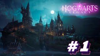 ПОСТУПЛЕНИЕ ▲ Hogwarts Legacy #1