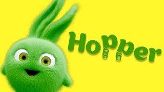 Cartoon  Sunny Bunnies - Meet the Bunnies - Hopper  Videos For Kids Videos For Kids