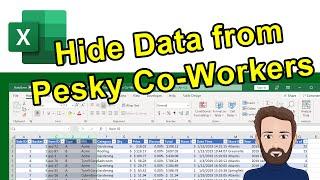 3 Tips to Hide Excel Data from Nosy Co-Workers The Nice Way