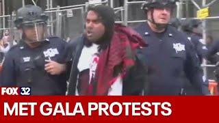 NYPD arrests 2 dozen protesters during Met Gala