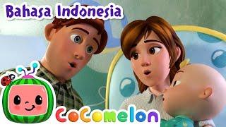 Lagu Sakit  CoComelon Bahasa Indonesia - Lagu Anak Anak