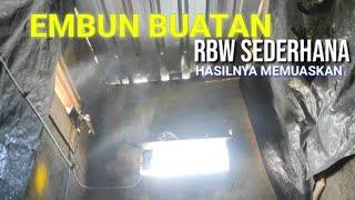 Embun Walet Di Gedung Mini Sederhana Yang Produktif