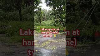 Carina Gaime typhoon is now in Taiwan keep safe kabayan LORD PROTECT US  #everyone #trendingvideo