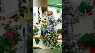 Balcony Makeover IdeasBalcony Flower Garden Ideas