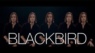 Blackbird  The Beatles  Bass Singer Cover