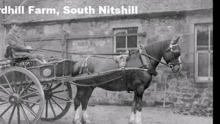 Nitshill Past and Present