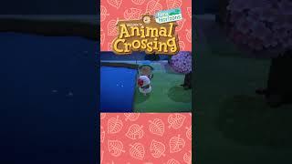 I cant catch anything #acnh #animalcrossing #animalcrossingnewhorizons