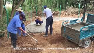 杭州山上树林里建设犬舍，本来就养几只狗，现在好了什么都学会了 #犬舍  #养狗  #农村生活