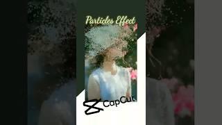 Make your photo to Video with Particles Effect  #capcut