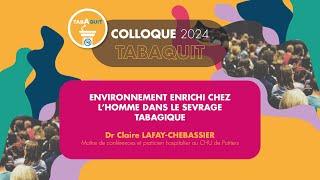 Environnement enrichi chez l’homme dans le sevrage tabagique - Dr Claire LAFAY-CHEBASSIER