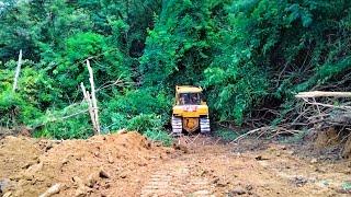 Horrible Job CAT D6R bulldozer builds a new road on a mountain cliff with lots of tall trees