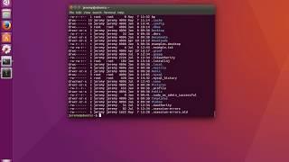 Linux Basics How to List Directory Contents ls