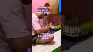 Saat dia pergi.. #kucingkesayangan #crying #kucing #cat #catlover #shortsvideo #shorts