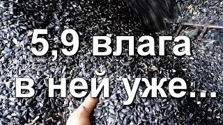 Уборка подсолнуха Эстрада  Нива СК-5   Краматорску 150 лет СИ СИ КЕТЧ Каменская