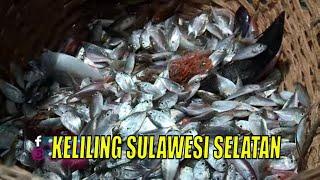 FULL KELILING SULAWESI SELATAN  JEJAK ANAK NEGERI 241122