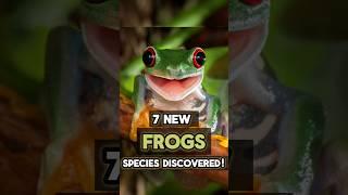 7 Tiny Frogs Discovered in MadagascarSinging for Survival InFact Series #trendingshorts #treefrog