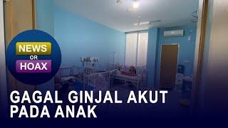 Gagal Ginjal Akut Pada Anak - NEWS OR HOAX