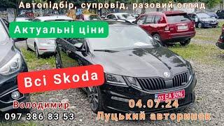 Луцький авторинок.04.07.24.Всі Шкоди